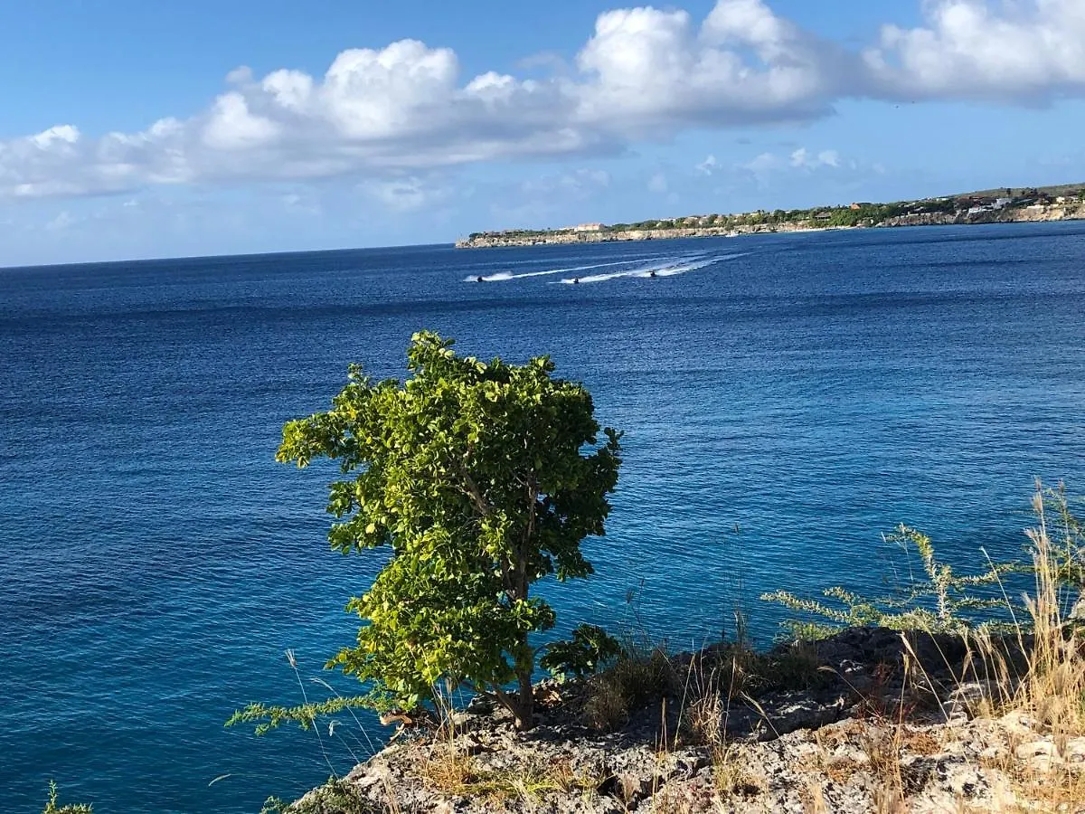 Holiday home Marazul Dive Resort. 3 Bedroom Seafront House. Dive, Snorkel, Enjoy Amazing Sunsets Westpunt